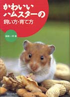 かわいいハムスターの飼い方・育て方