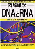 ＤＮＡとＲＮＡ - 図解雑学　絵と文章でわかりやすい！