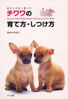 チワワの育て方・しつけ方 - 愛犬と仲良く暮らす