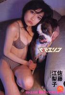 ウラエリコ - 佐藤江梨子写真集
