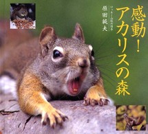 感動！アカリスの森 - ロッキー山脈の四季