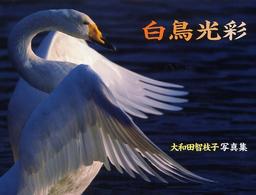 白鳥光彩 - 大和田智枝子写真集