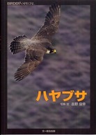 ハヤブサ Ｂｉｒｄｅｒ  ｓｐｅｃｉａｌ