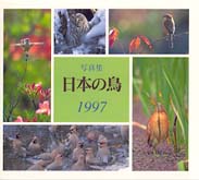 日本の鳥 〈１９９７〉 - 写真集