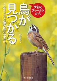 季節とフィールドから鳥が見つかる - １年で２４０種の鳥と出会う