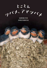 とことんツバメ、アマツバメ