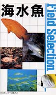 海水魚 Ｆｉｅｌｄ　ｓｅｌｅｃｔｉｏｎ