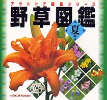 アウトドア図鑑シリーズ<br> 野草図鑑〈夏編〉