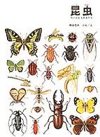 昆虫 - ちいさななかまたち 福音館の科学の本