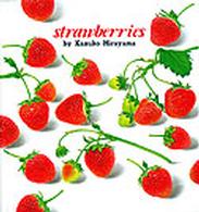 Ｓｔｒａｗｂｅｒｒｉｅｓ - いちご・英語版