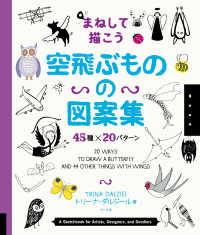 まねして描こう空飛ぶものの図案集―４５種×２０パターン