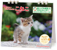 ミニカレンダーこねこ　２０２６