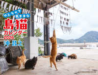 沖昌之　やんちゃで気ままな　島猫カレンダー　２０２６