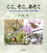 ここ、そこ、あそこ - あなたに出会った鳥、出会う鳥
