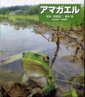 アマガエル