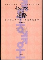 セックスという迷路―セクシュアリティ文化の社会学