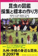 昆虫の図鑑採集と標本の作り方 - 野山の宝石たち