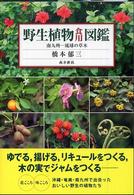 野生植物食用図鑑  南九州  琉球の草木