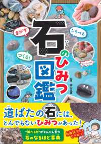 さがすしらべるつくる！石のひみつ図鑑