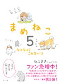 まめねこ 〈５〉 なになに？これな～に！