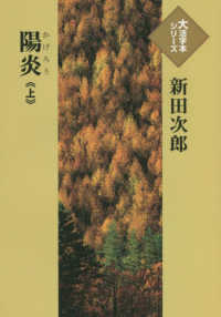 陽炎 〈上〉 大活字本シリーズ