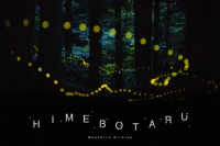 ＨＩＭＥＢＯＴＡＲＵ