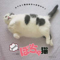 ふっくらぽちゃ猫 マイウェイムック