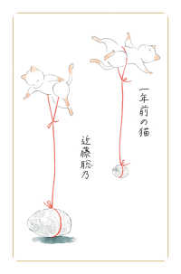 一年前の猫