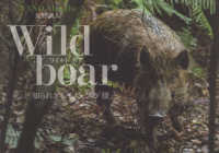 Ｗｉｌｄ　ｂｏａｒ―知られざるイノシシの「棲」