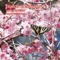Insects of Nagano 吉村健二 昆虫写真集