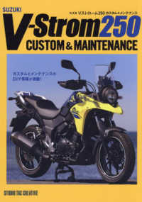 スズキＶストローム２５０カスタム＆メンテナンス