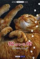 猫のいる街 Ａｒｔ　Ｂｏｘ／ｐｏｓｔｃａｒｄ　ｂｏｏｋ