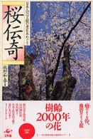 桜伝奇 - 日本人の心と桜の老巨木めぐり