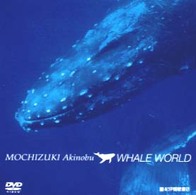 ＤＶＤ＞Ｗｈａｌｅ　ｗｏｒｌｄ - 望月昭伸の小笠原クジラワールド ＜ＤＶＤ＞