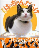 はっちゃんだらけ