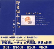 野良猫ムーチョ―心に吹く風