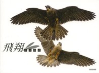 飛翔