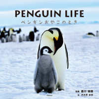 ＰＥＮＧＵＩＮ　ＬＩＦＥ　ペンギンおやこのとき