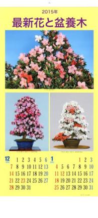 ’１５　最新花と盆養木カレンダー