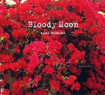 Ｂｌｏｏｄｙ　ｍｏｏｎ - うまれるまえみたひかり