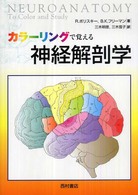カラーリングで覚える神経解剖学