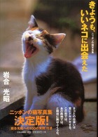 きょうも、いいネコに出会えた―ニッポンの猫写真集