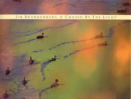 Ｃｈａｓｅｄ　ｂｙ　ｔｈｅ　ｌｉｇｈｔ - Ａ　９０－ｄａｙ　ｊｏｕｒｎｅｙ