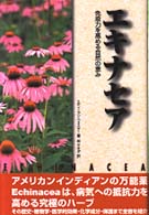 エキナセア - 免疫力を高める自然の恵み