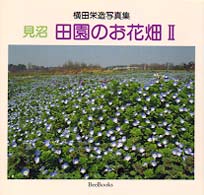 田園のお花畑 〈２〉 - 見沼 Ｂｅｅ　ｂｏｏｋｓ