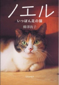 ノエル - いっぽん足の猫