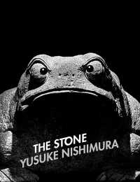 ＴＨＥ　ＳＴＯＮＥ／ＦＲＯＧ - 西村裕介写真集