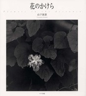 花のかけら
