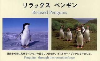 リラックス　ペンギン