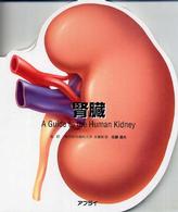 腎臓